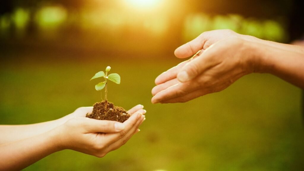 أربع تاءات تصوغ بيت الخبرة وريادة المستقبل