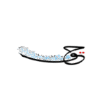 الجمعية الكويتية لحماية حقوق الملكية الفكرية
